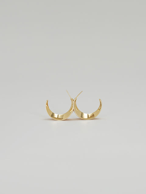 small sansevieria hoop earrings