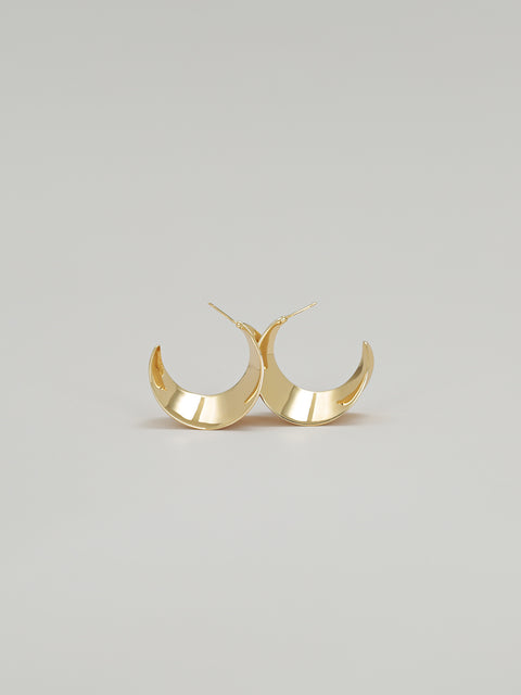 sansevieria hoop earrings