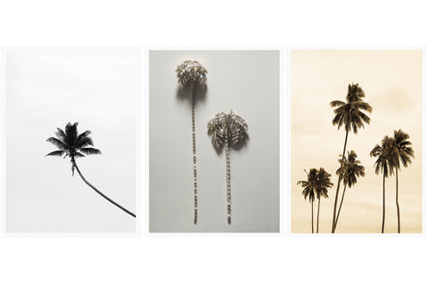 tropical postcards